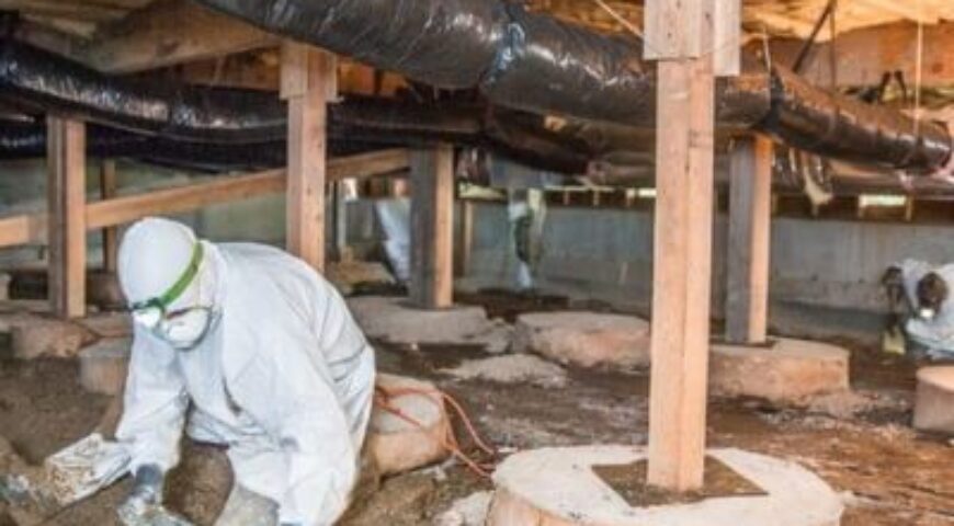 Benefits of Mold Remediation in Delaware County That Go Beyond Just Removing Mold