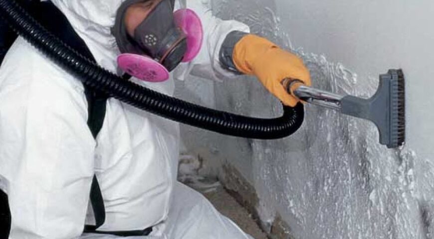 Why Hire a Professional Crawl Space Mold Remediation Service in Schuyler County?