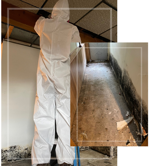 Mold Remediation Binghamton