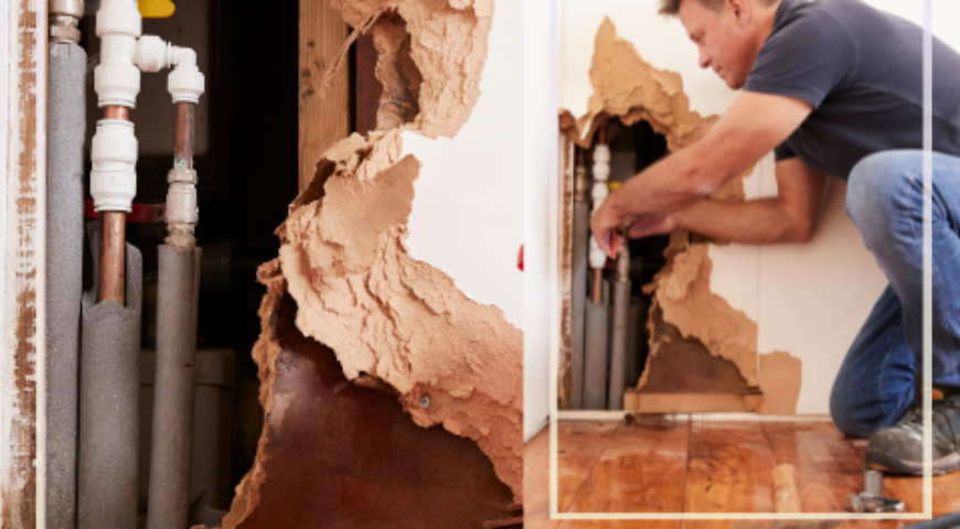 Signs You Need Water Damage Remediation Binghamton Services ASAP