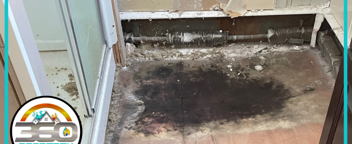 Key Indications That Homes In Ithaca, NY Requires Mold Remediation Service