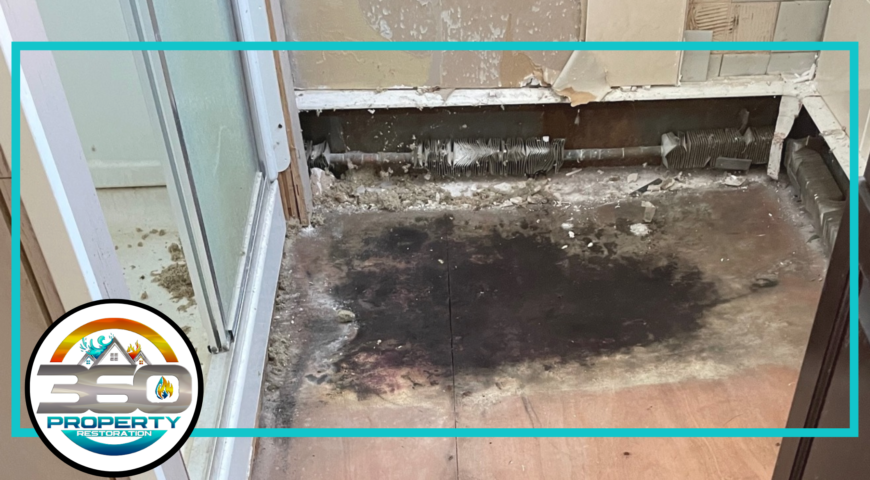 Mold Remediation Elmira: The Dangers of Ignoring Mold Growth