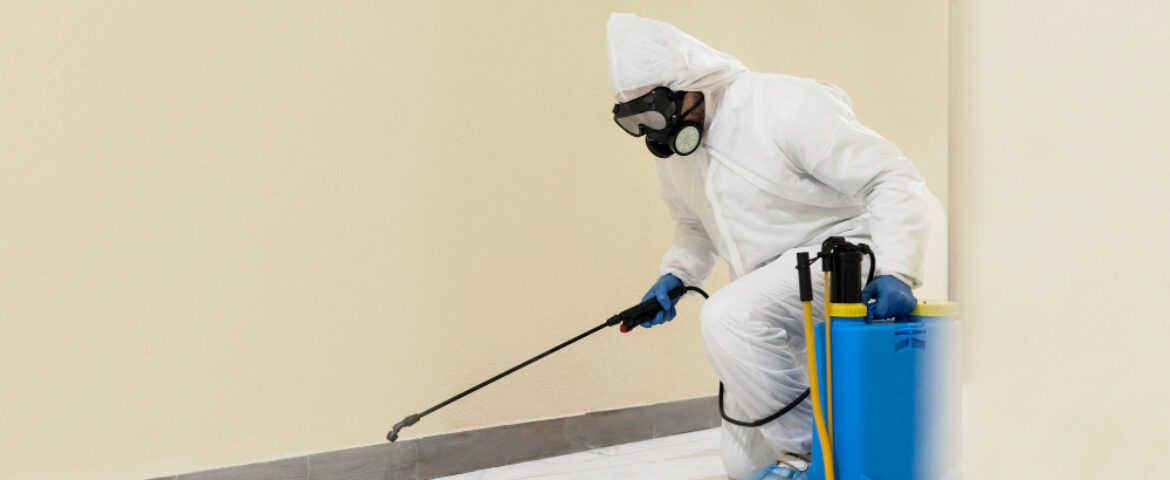 Mold Removal in Cooperstown: Licensed Services Are Worth It