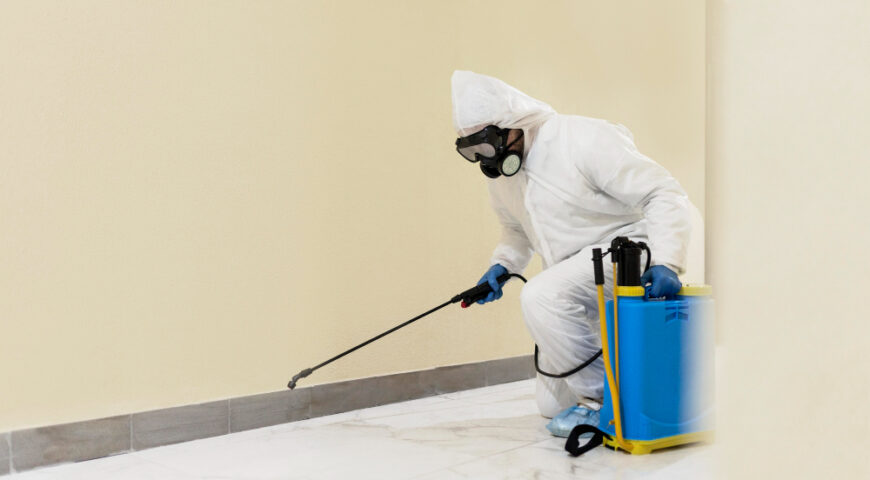 5 Ways to Identify and Address Mold Issues in Norwich