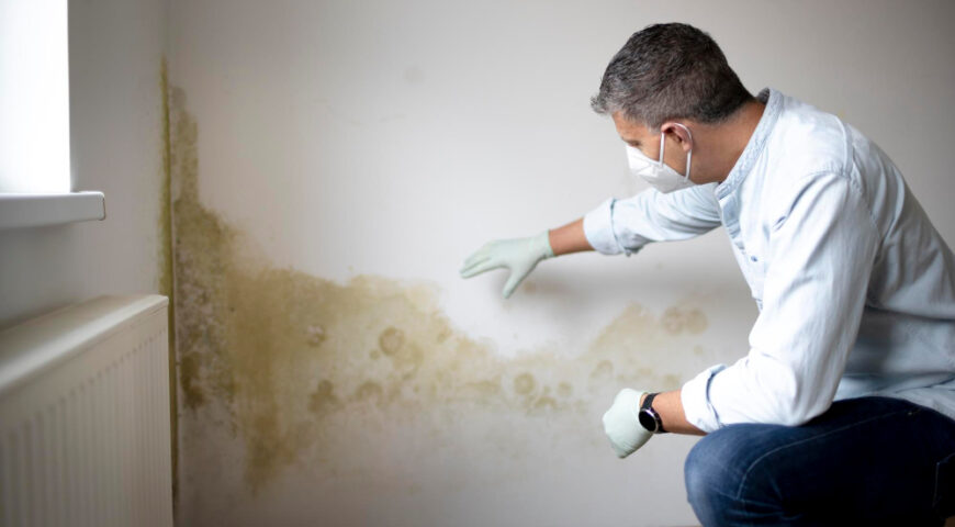 Why Hire a Mold Remediation Contractor in Norwich for Safe Removal?